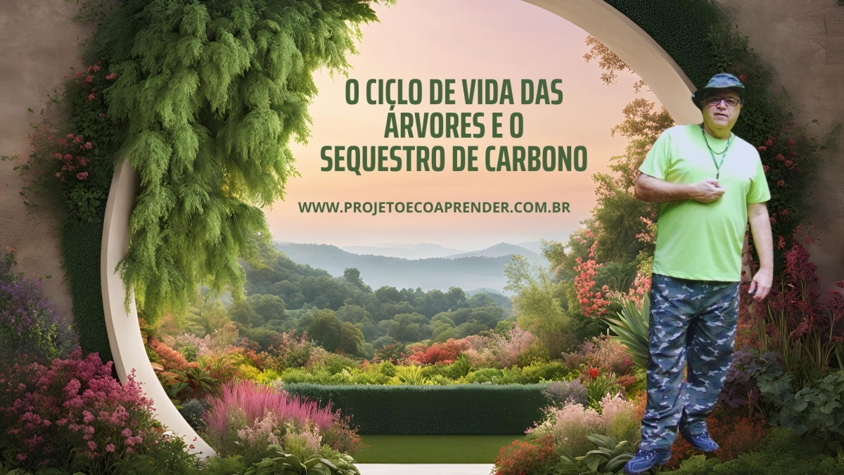 O Ciclo de Vida das Árvores e o Sequestro de Carbono