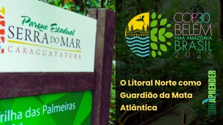 O Litoral Norte como Guardião da Mata Atlântica-min
