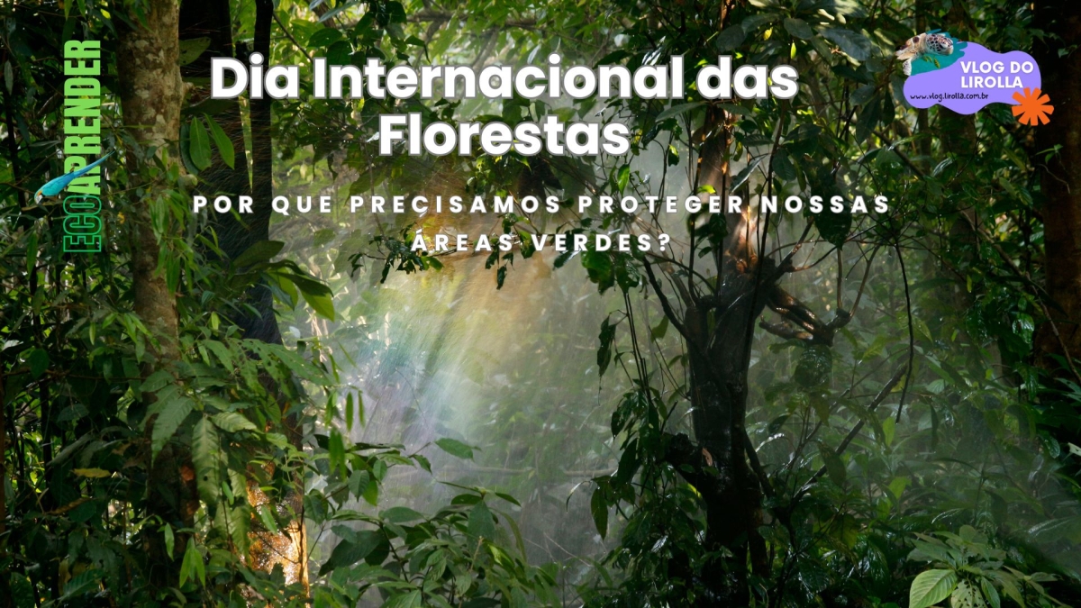 dia internacional da floresta - projeto EcoAprender
