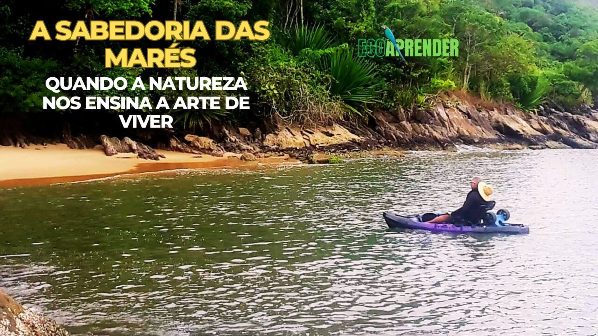A Sabedoria das Mares - Projeto EcoAprender