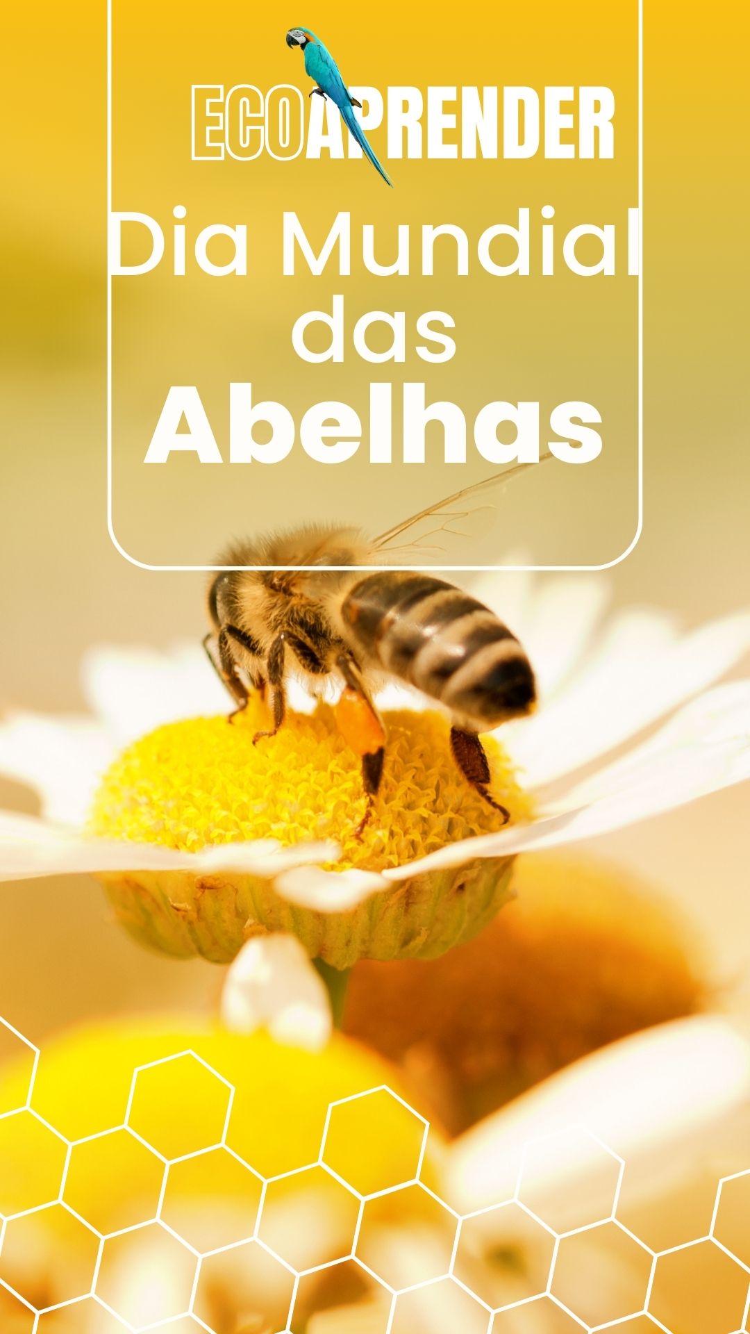 Dia Mundial das Abelhas (1)