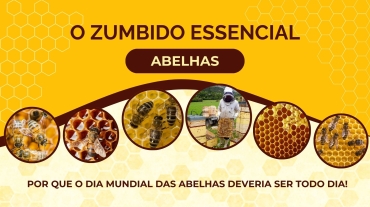 Dia Mundial das Abelhas