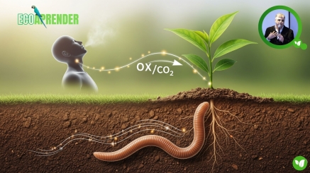 Projeto EcoAprender - O Respiro Secreto do Planeta A Parabola da Vida Interligada