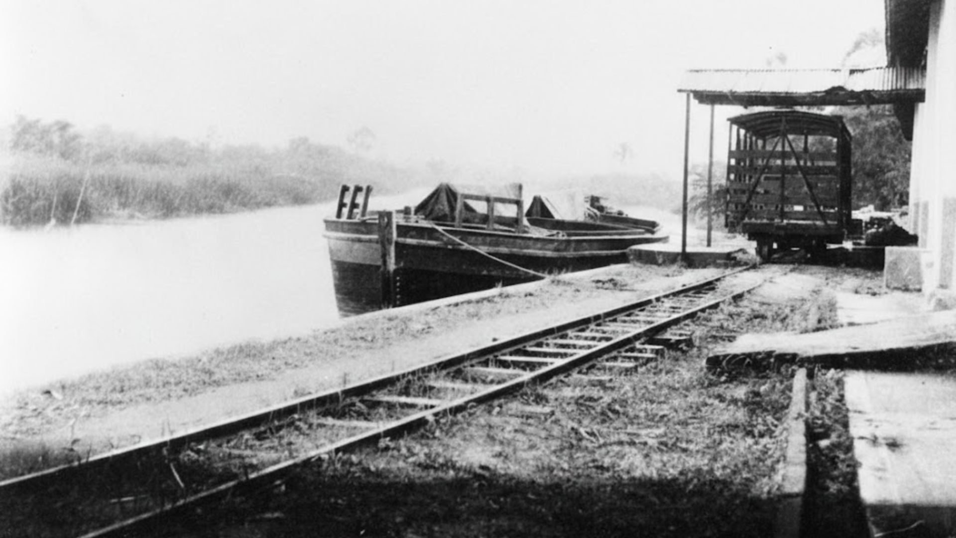 Banner Projeto Raízes Caiçara 6